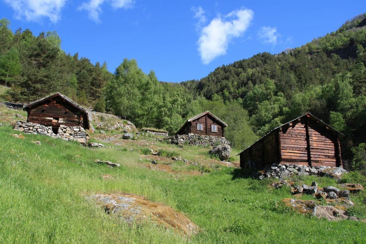 Aobrio Holidayhouse, Authentic Norwegian Farmhouse Close To Flam Lærdalsøyri Exteriör bild
